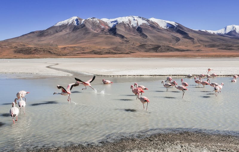 Salar de Uyuni, Bolivia